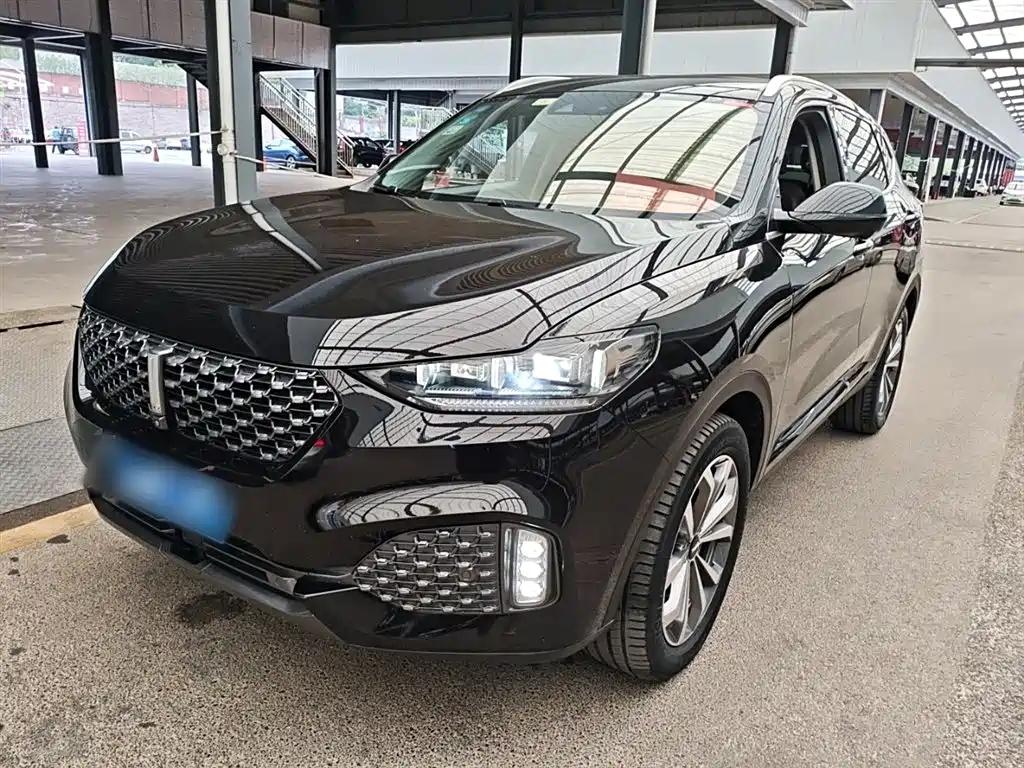 WEI PAI WEI BRAND VV6