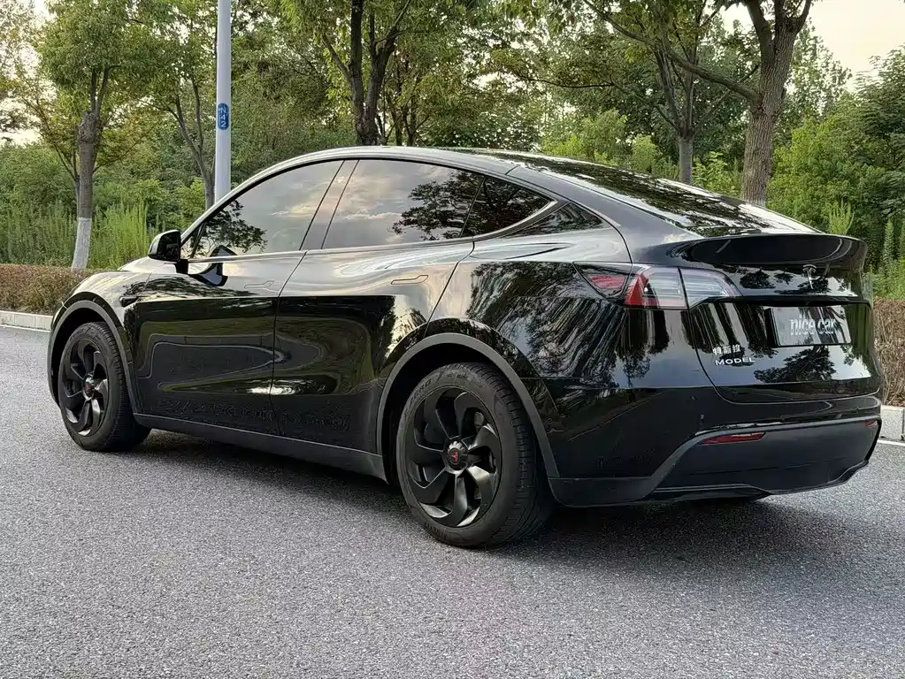 Tesla Model Y — миниатюра 6