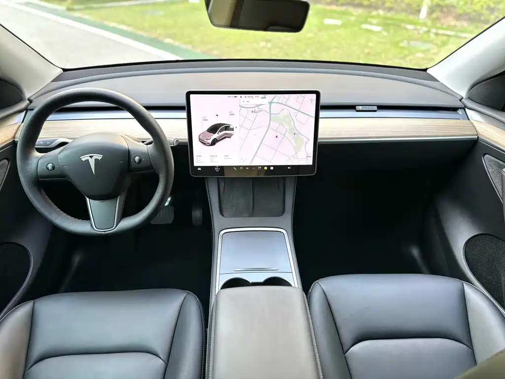 Tesla Model Y — миниатюра 9