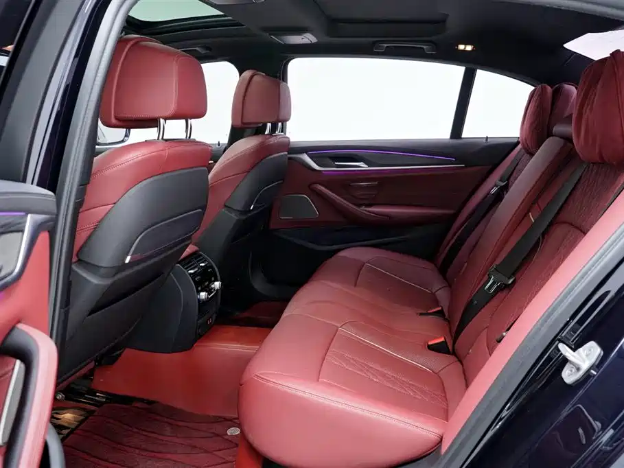 BMW 5 Series 5 2021 530Li Premium M Sport