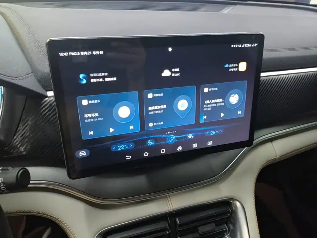 BYD PLUS New Energy — миниатюра 13