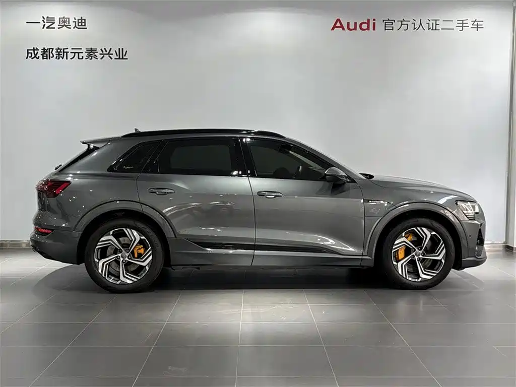 Audi e-tron — миниатюра 3