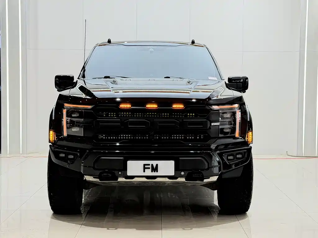 Ford F-150 Raptor — миниатюра 5