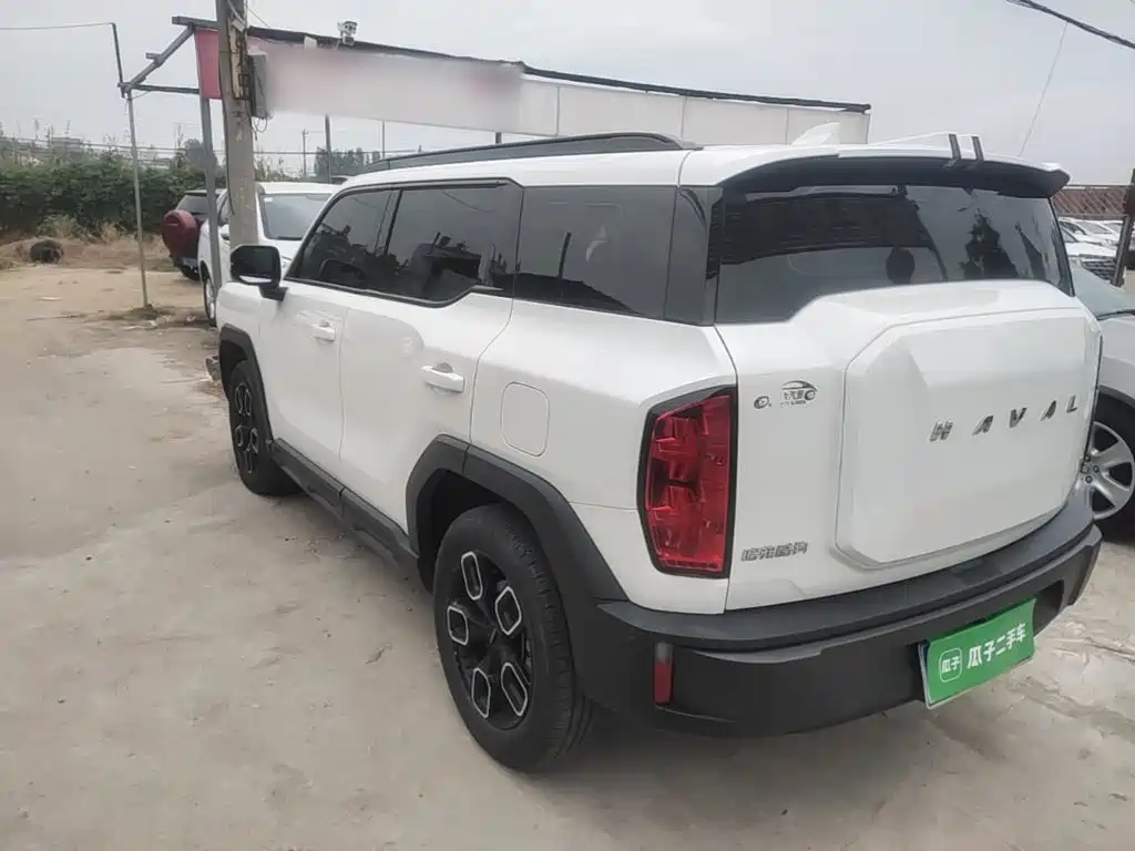 Haval Cool Dog — миниатюра 5