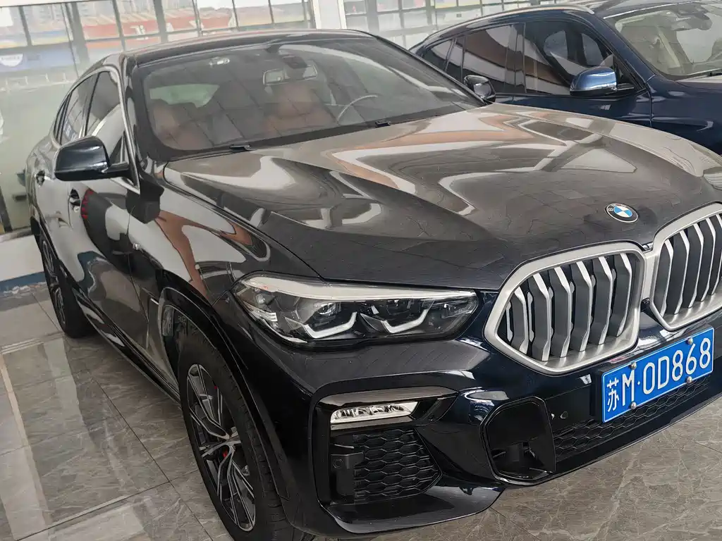 BMW X6 2020 xDrive30i M Sport