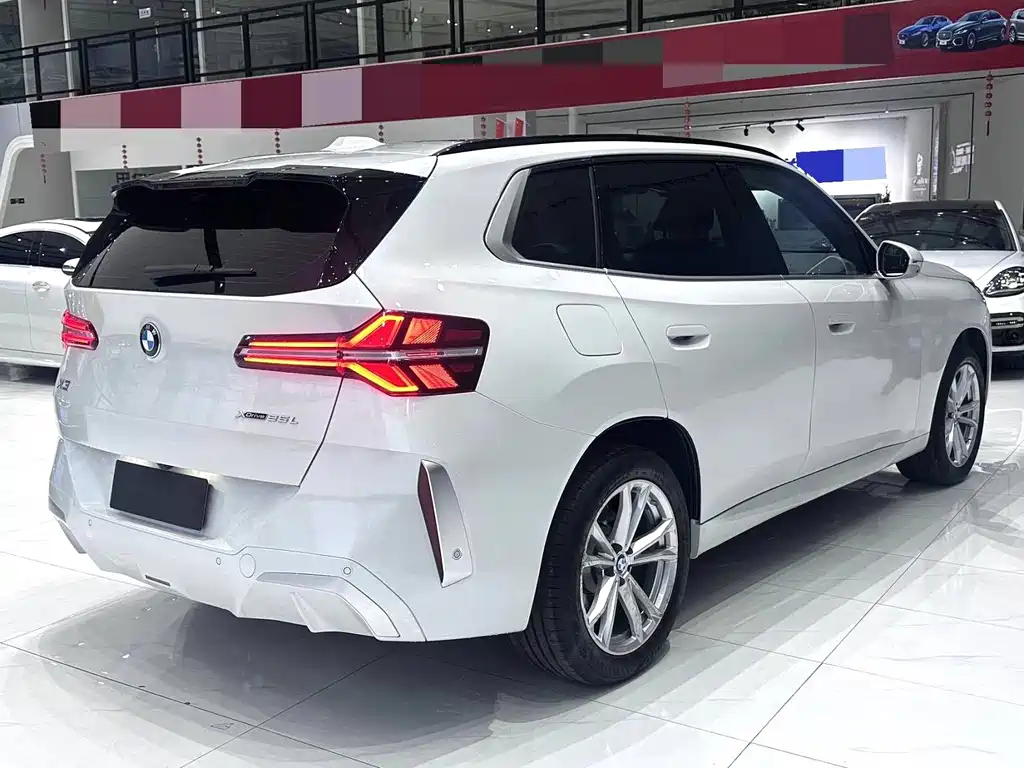 BMW X3 — миниатюра 7