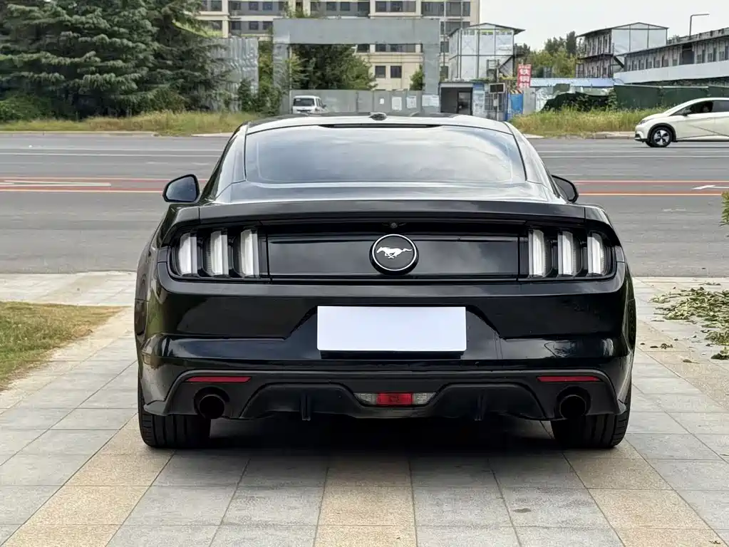Ford Mustang — миниатюра 9