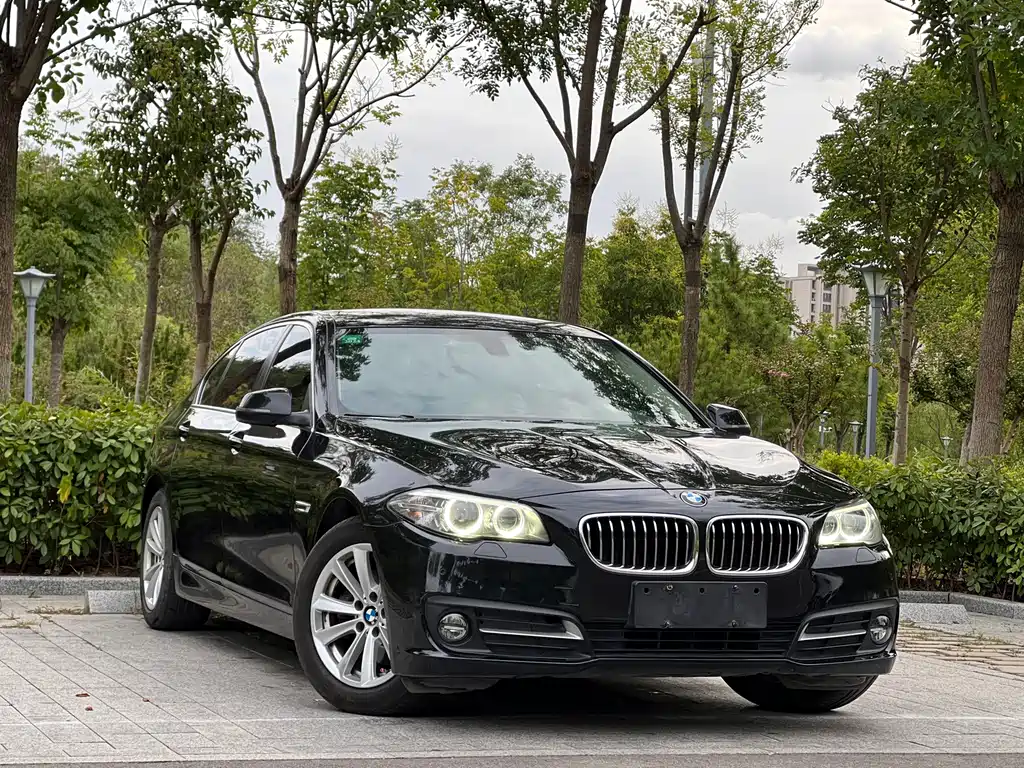 BMW 5 Series — миниатюра 3