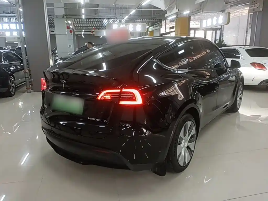 Tesla Model Y — миниатюра 7