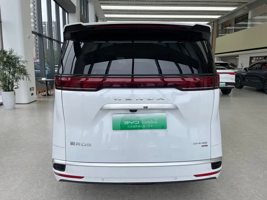 Denza Denza D9 — миниатюра 4