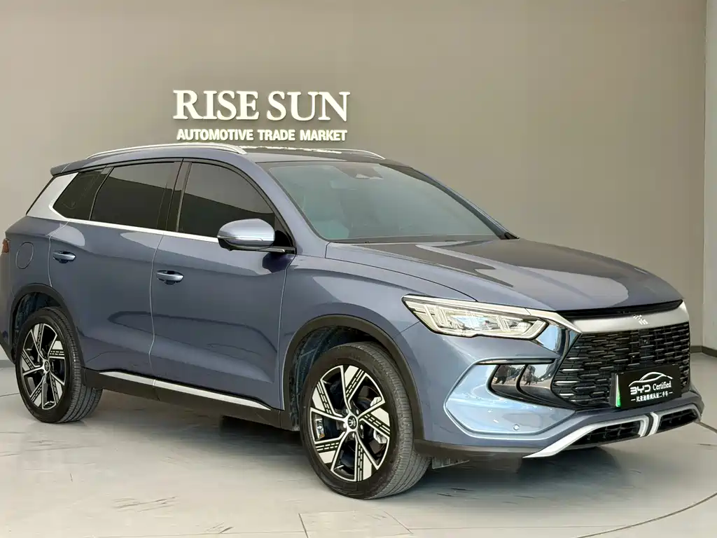 BYD Pro New Energy — миниатюра 3