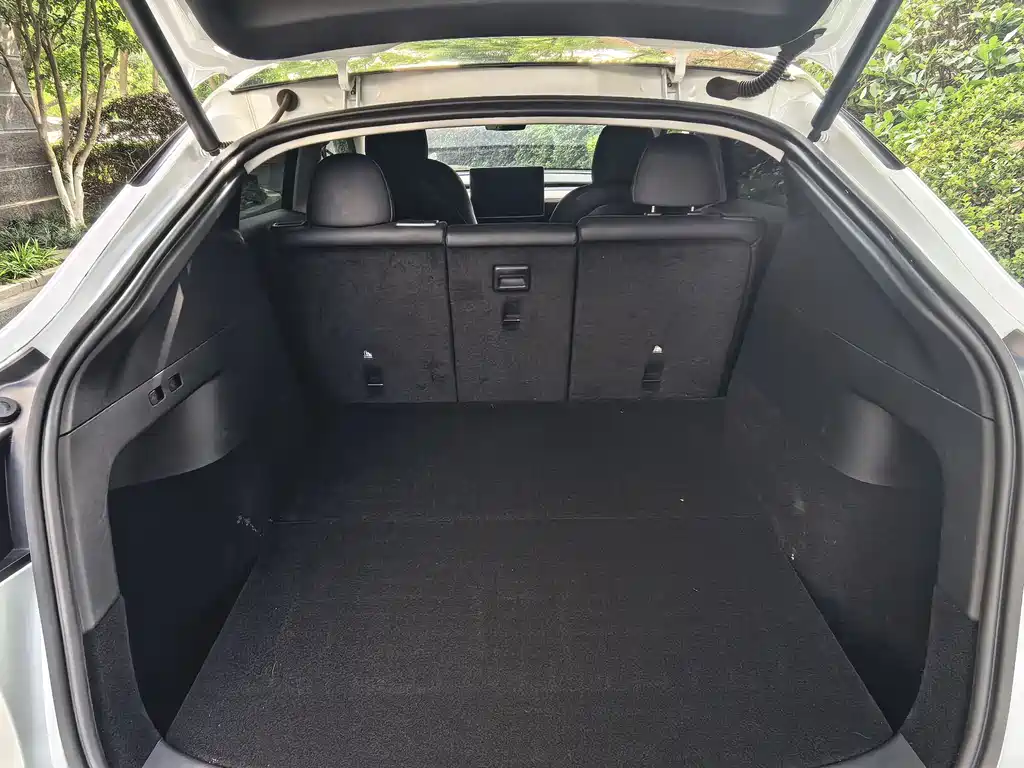 Tesla Model Y 2021 3D5