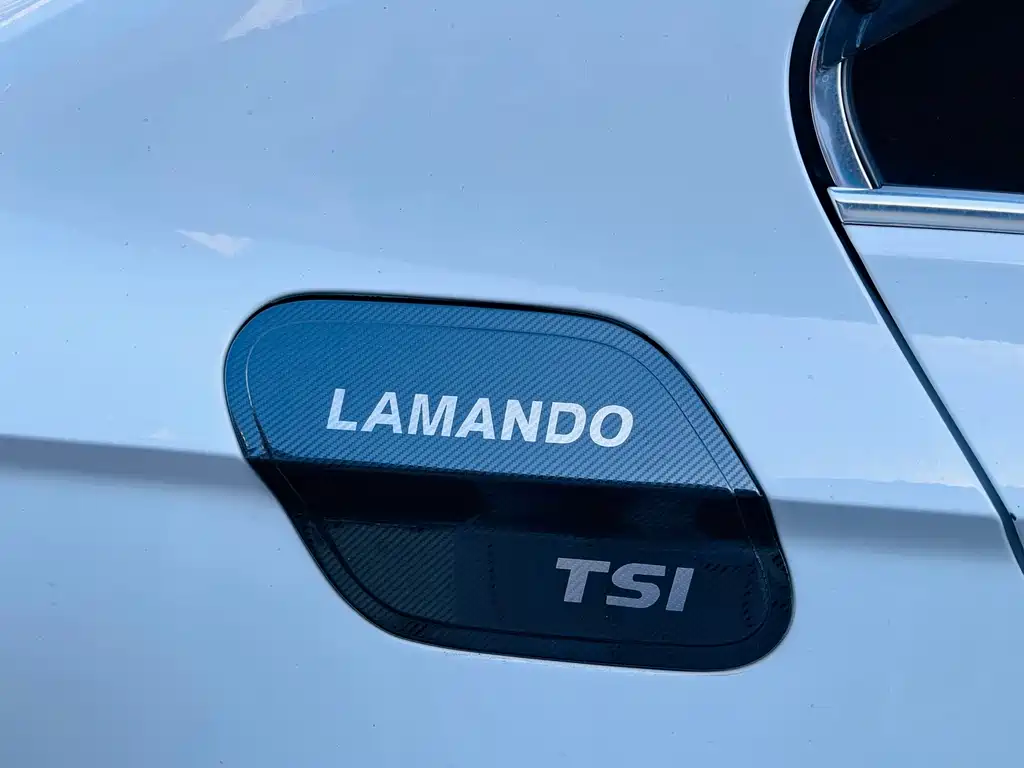 Volkswagen Lamando — миниатюра 10
