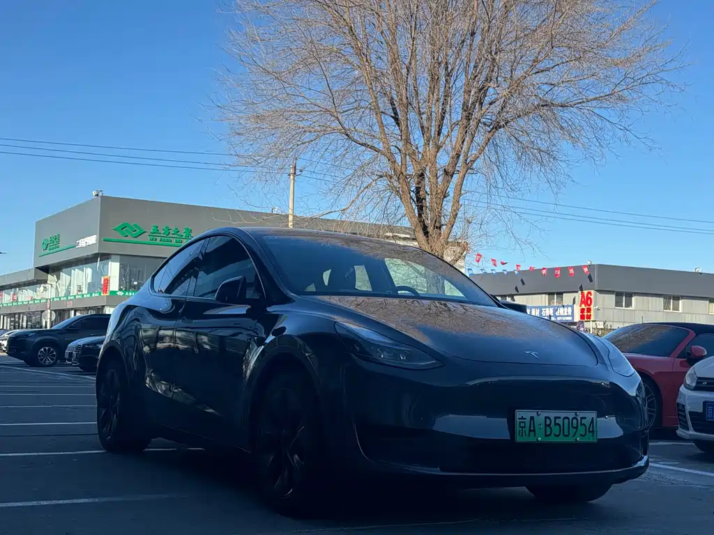 TESLA MODEL Y