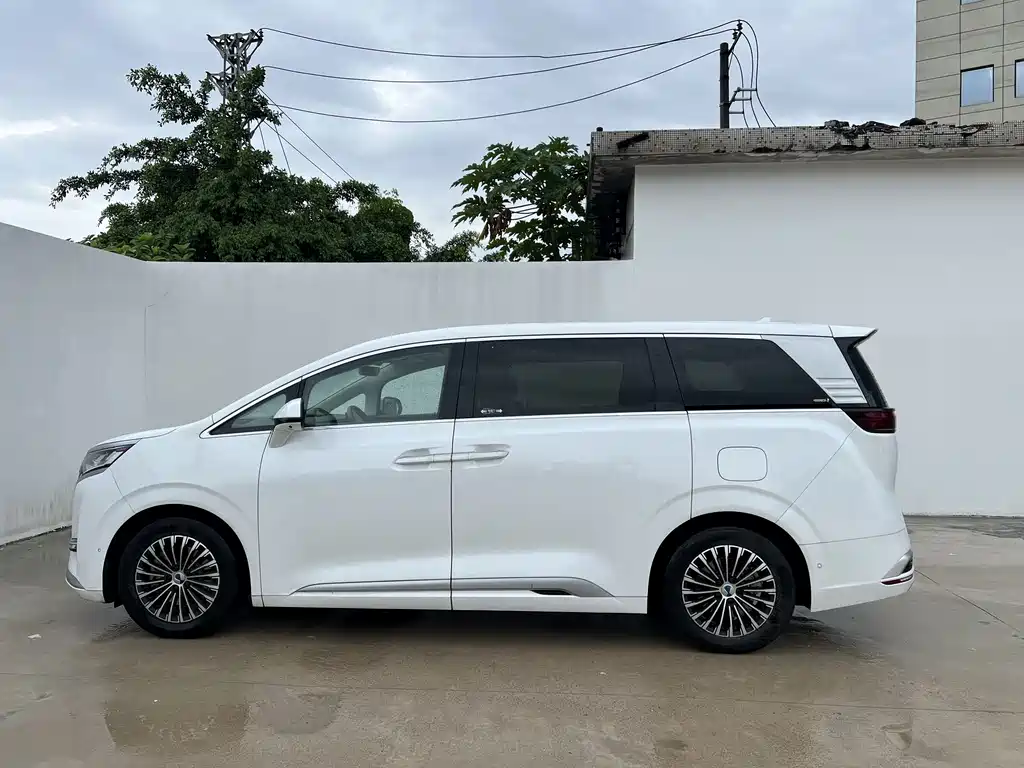 Denza Denza D9 — миниатюра 3
