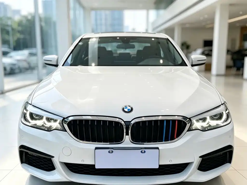 BMW 5 Series — миниатюра 2