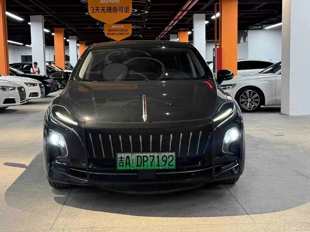 Hongqi Hongqi E-QM5