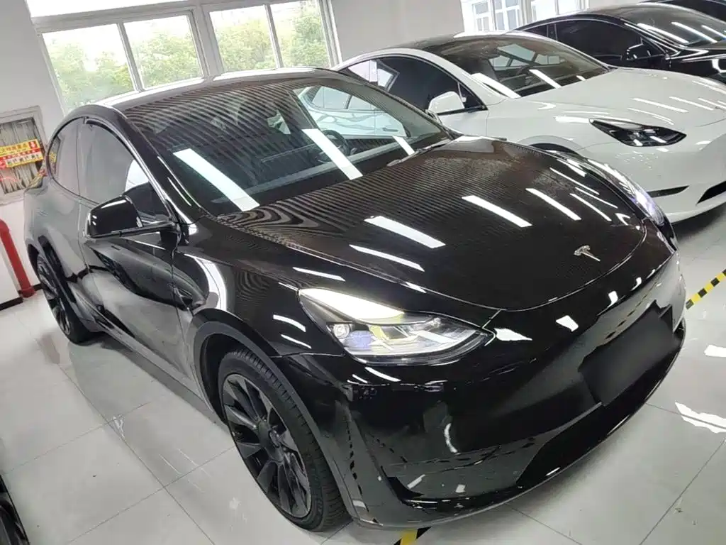 Tesla Model Y — миниатюра 4
