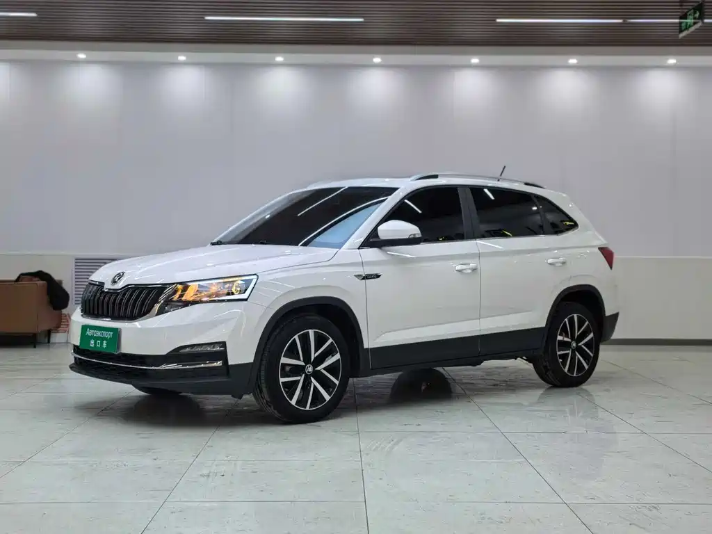 Купить Skoda Kamiq
