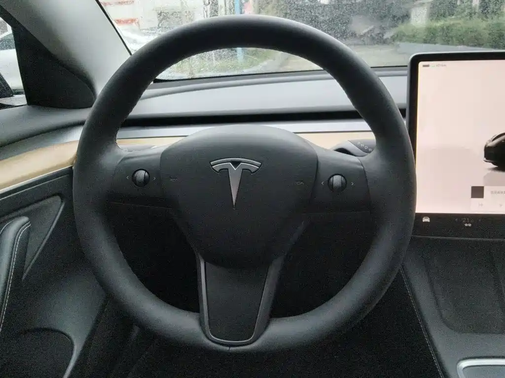 Tesla Model 3 — миниатюра 11