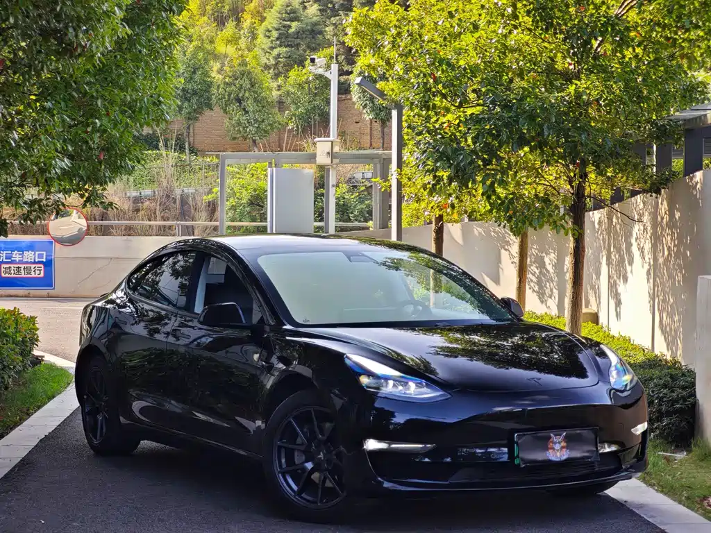Tesla Model 3 — миниатюра 3