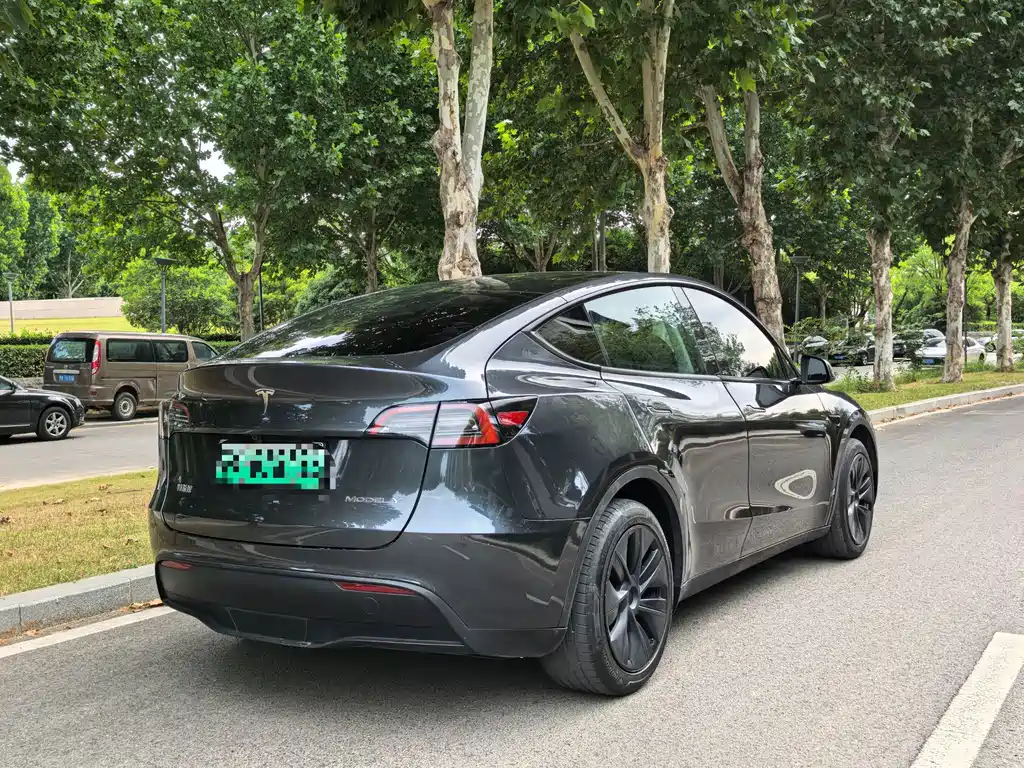 Tesla Model Y — миниатюра 7