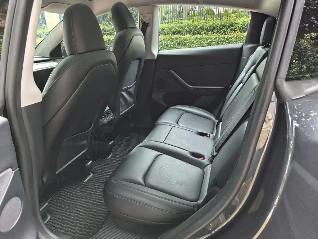 Tesla Model Y — миниатюра 5