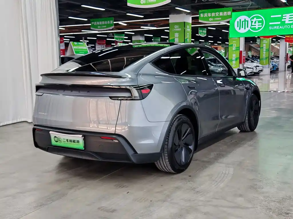 Tesla Model Y — миниатюра 7