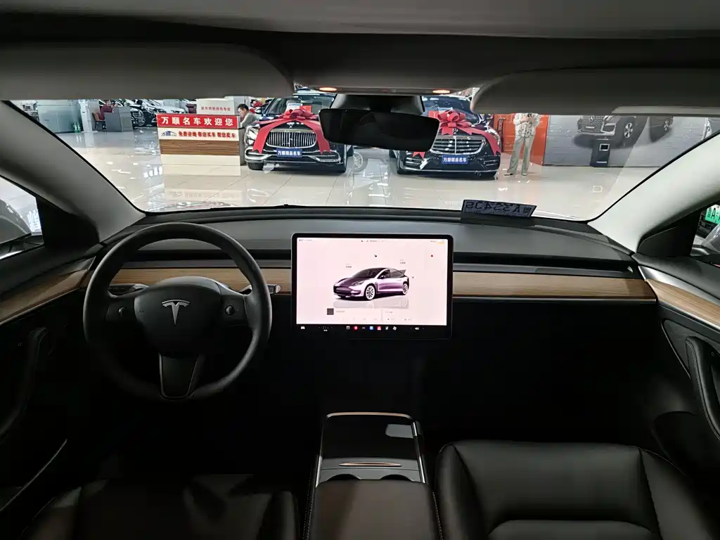 Tesla Model Y — миниатюра 4