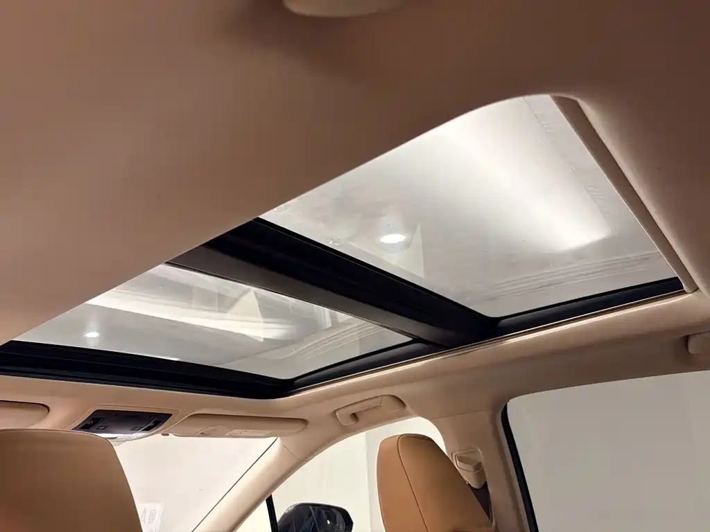 Lexus RX 300 4WD Elegant Edition China VI, фото 27