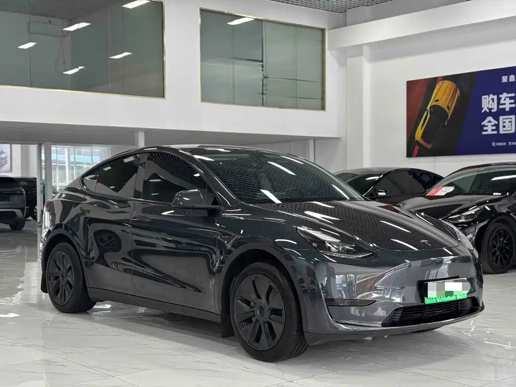 Tesla Model Y — миниатюра 3