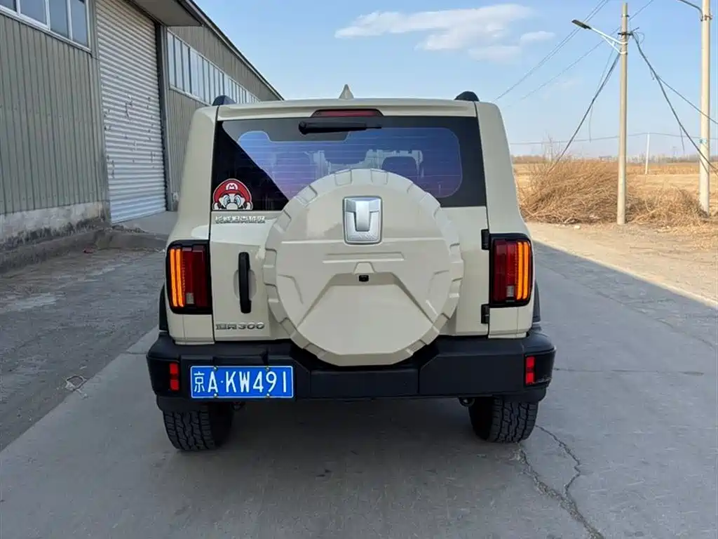 Tank 300 2025 2.0T
