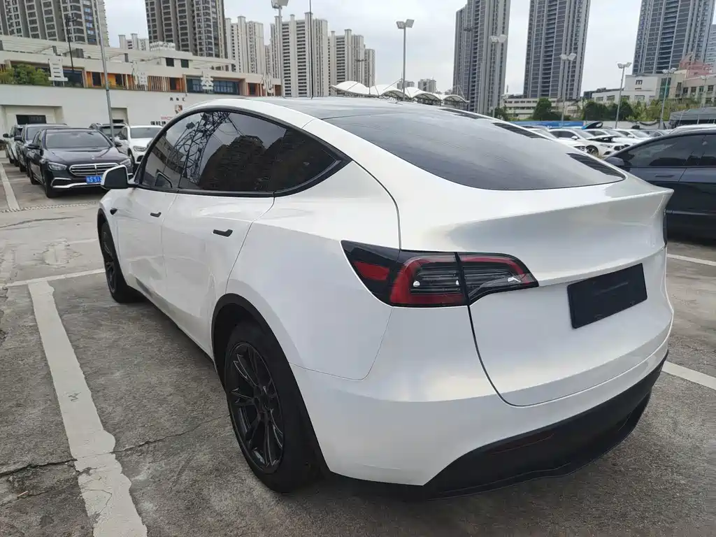 Tesla Model Y — миниатюра 5