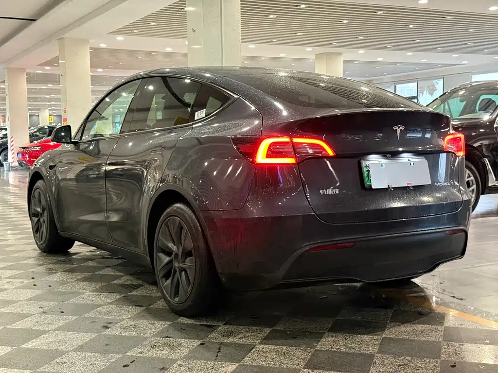 Tesla Model Y — миниатюра 4