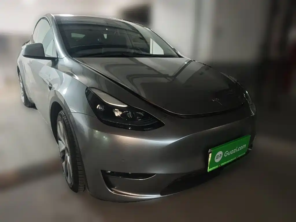 Tesla Model Y — миниатюра 23