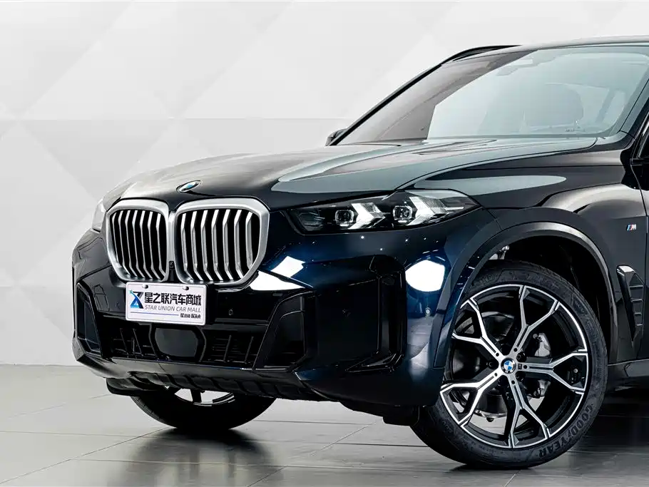 BMW X5 — миниатюра 3