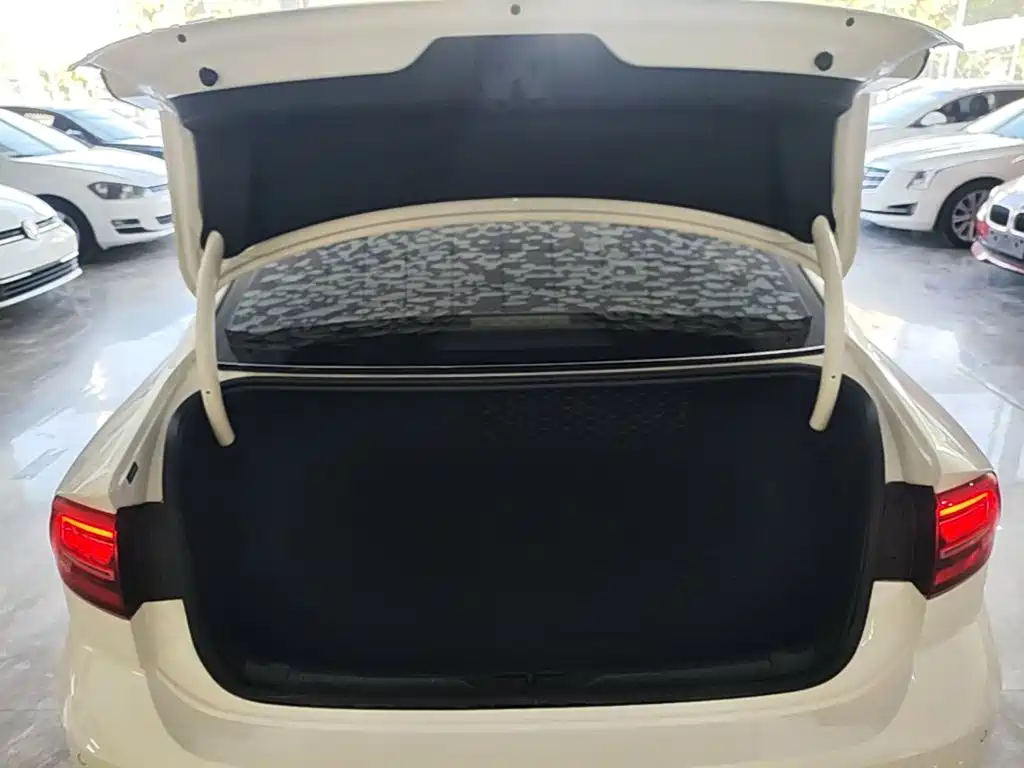 Volkswagen Lamando — миниатюра 19