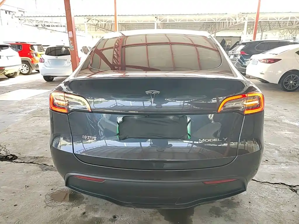 Tesla Model Y — миниатюра 6