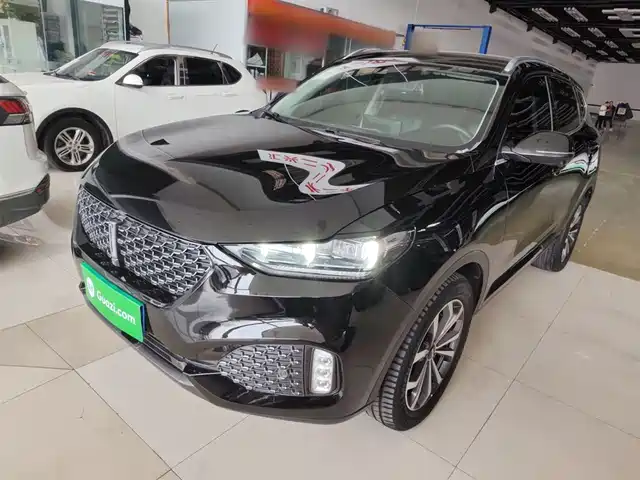 2020 Wey VV6