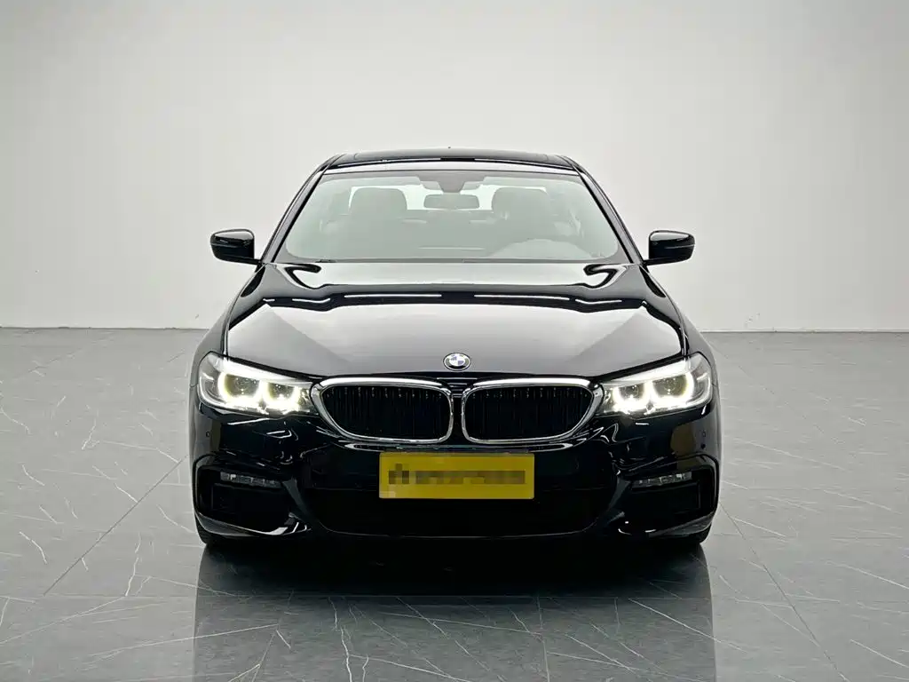BMW 5 Series — миниатюра 2