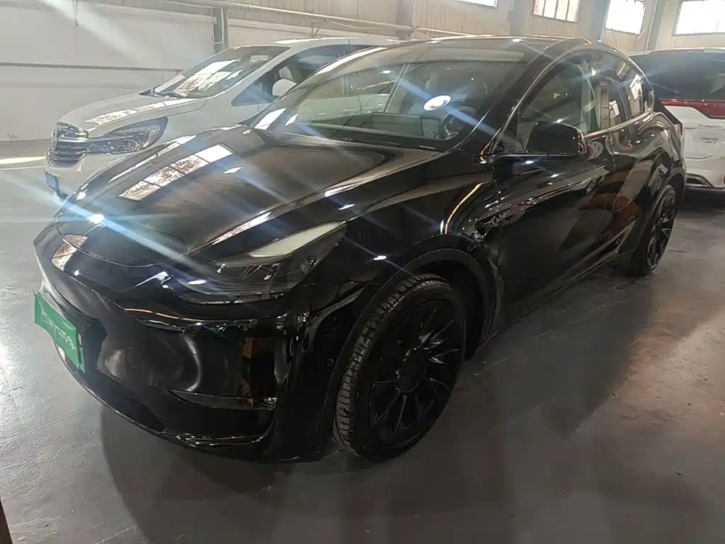 Tesla Model Y — миниатюра 2