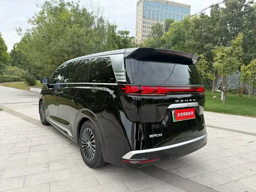 Denza Denza D9 — миниатюра 5