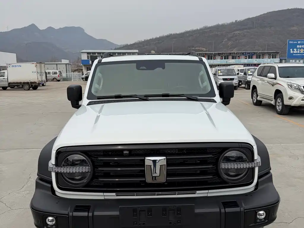 TANK TANK 300 NEW ENERGY