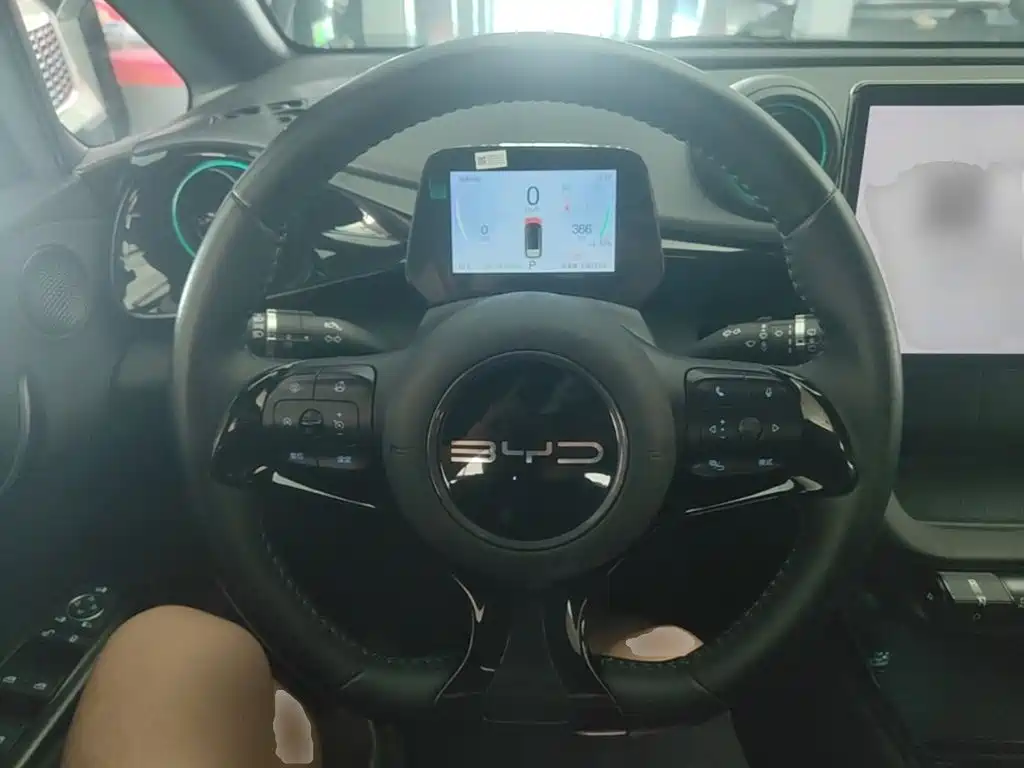 BYD Dolphin — миниатюра 11