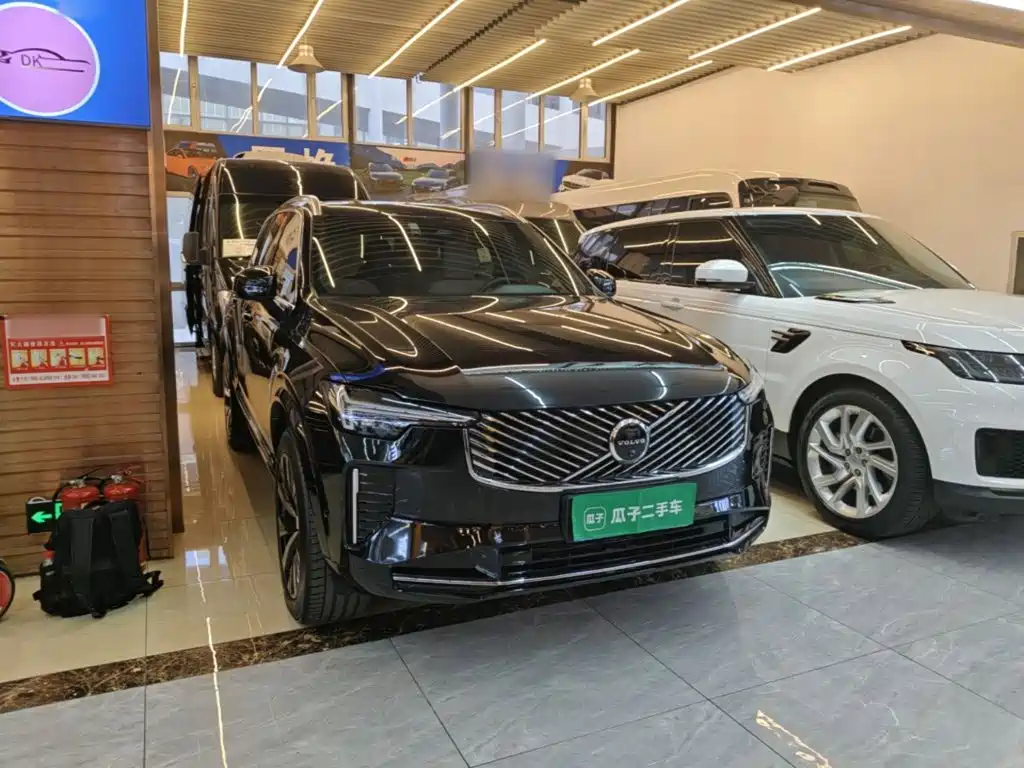 Volvo XC90 — миниатюра 4