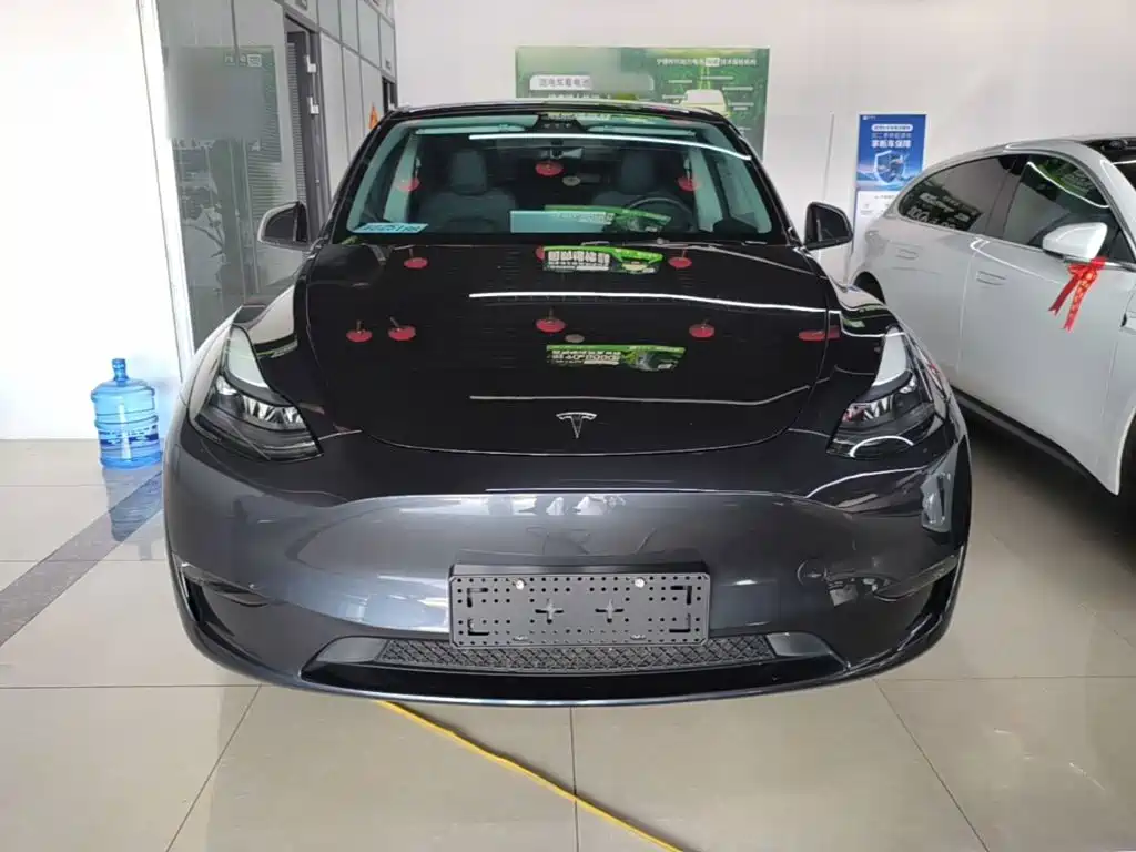 Tesla Model Y — миниатюра 3