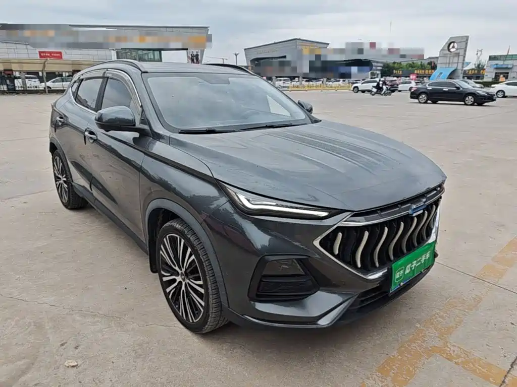 Oshan Oushang X5 — миниатюра 4