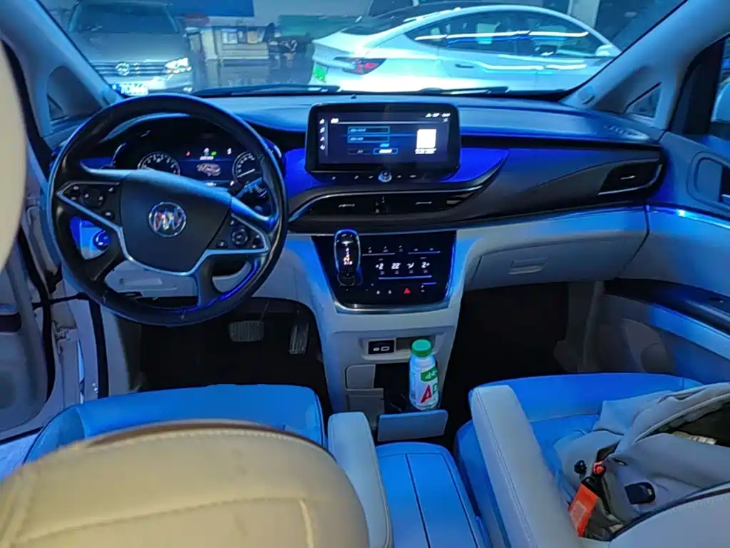Buick GL8 — миниатюра 10
