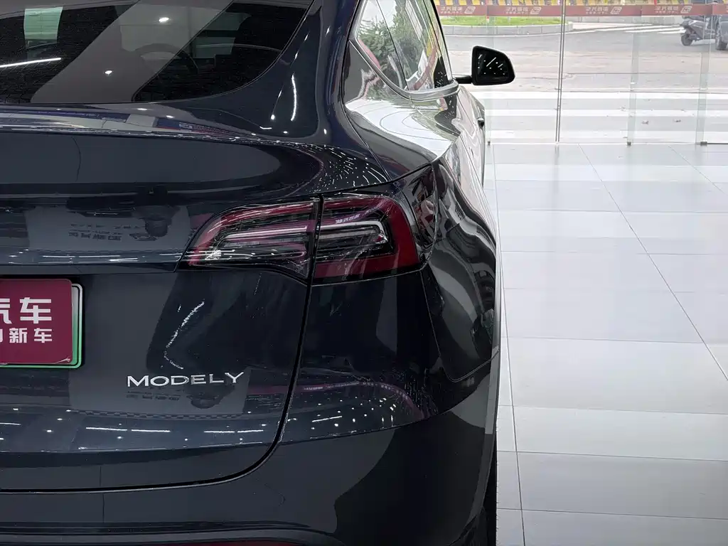Tesla Model Y — миниатюра 8