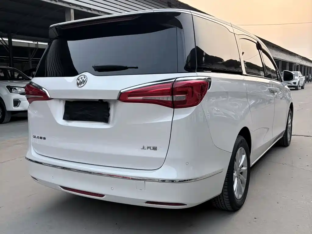 Buick GL8 — миниатюра 15